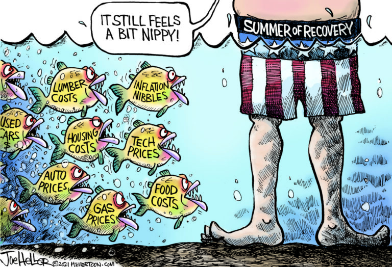 Cartoon showing a man in the ocean wearing US flag style swim trunks with piranaha resembling lumber costs, inflation nibbles, used cars costs, housing costs, tech prices, auto prices, gas prices and food cost. The caption is: It Still Feels A Bit Nippy